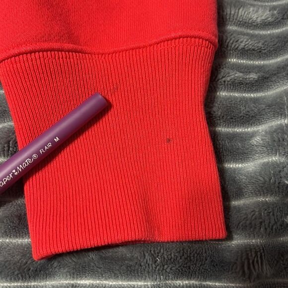 🔥🔥 CHAMPION x COCA-COLA Reverse Weave Thick Heavy HOODIE - Sz L - EXCELLENT - Picture 11 of 11